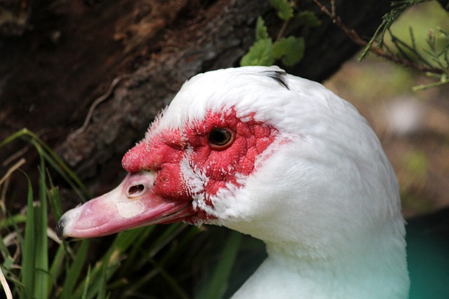 注入了一股 注入了一股