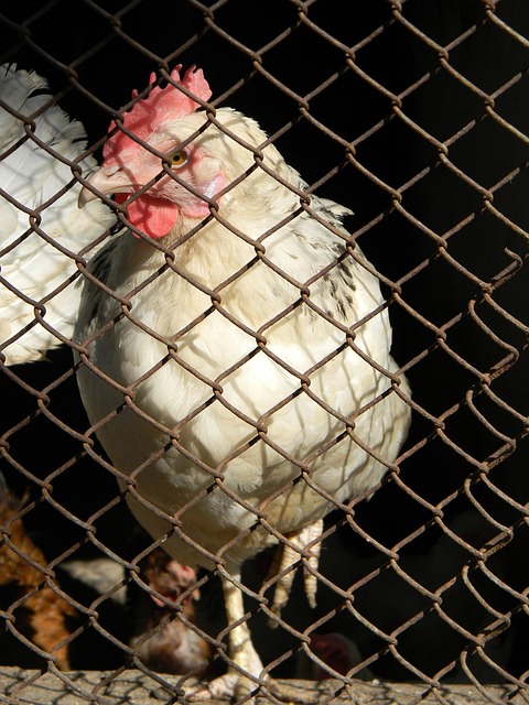 了球队的竞 了球队的竞