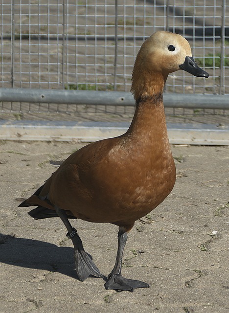亮点